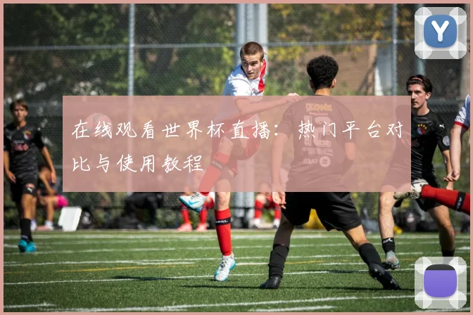 在线观看世界杯直播:热门平台对比与使用教程
