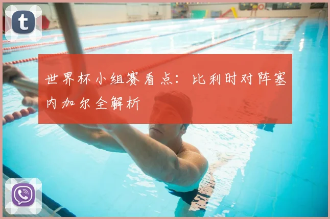 世界杯小组赛看点:比利时对阵塞内加尔全解析